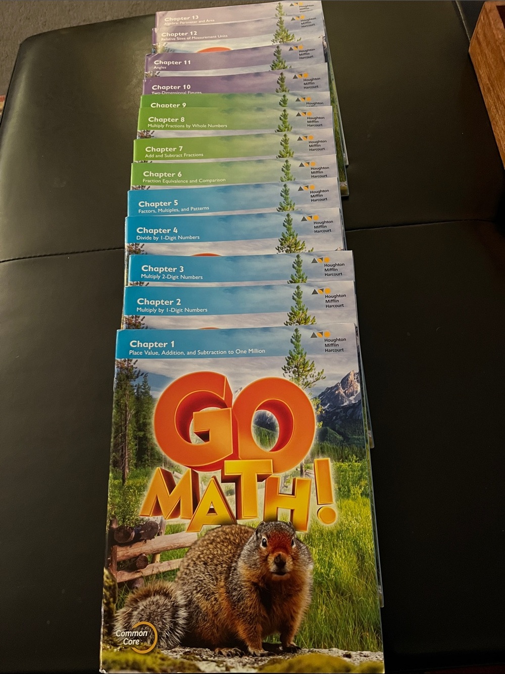 COMPLETE SET!!! 4th grade GO MATH chapters 1-13